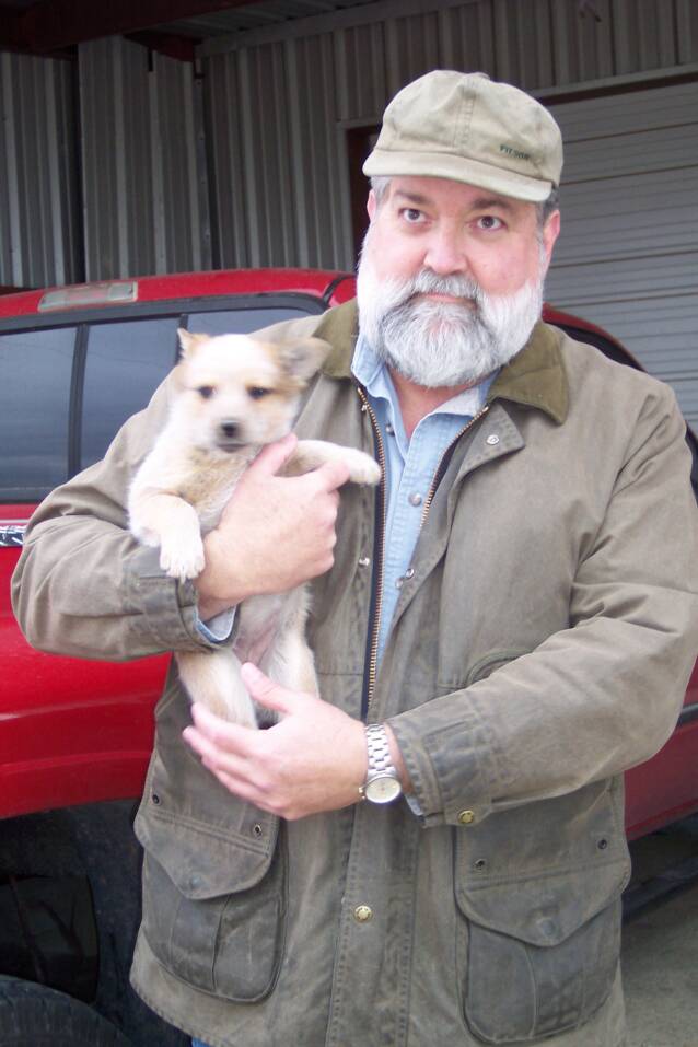 puppies - man - paws