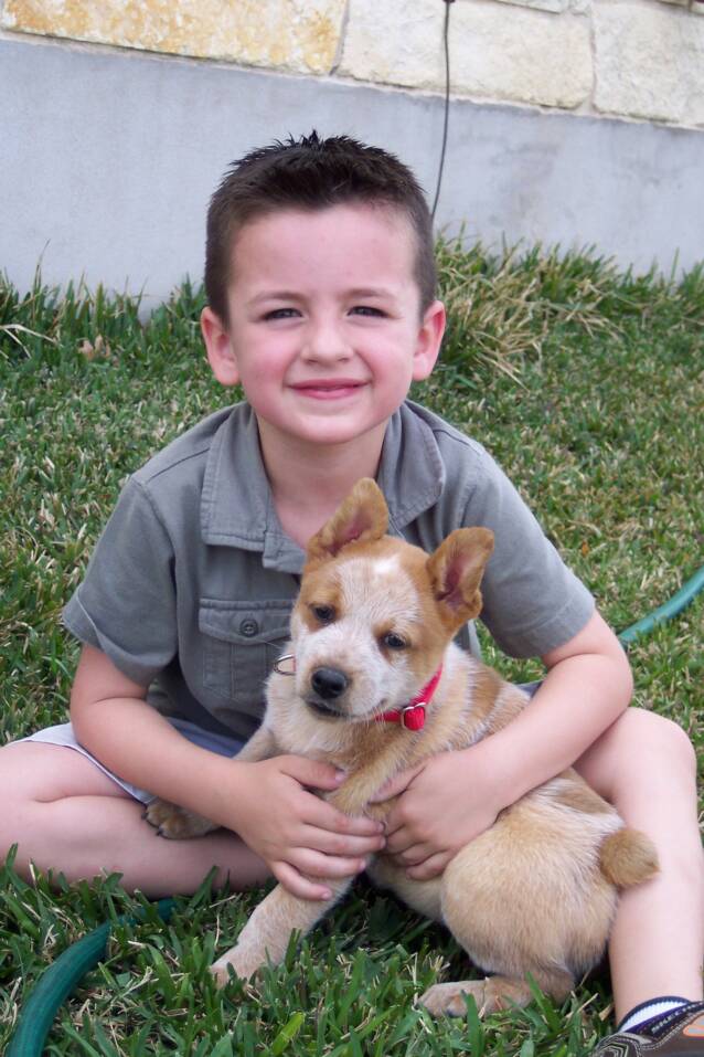 boy - friend - best friend - dog - 